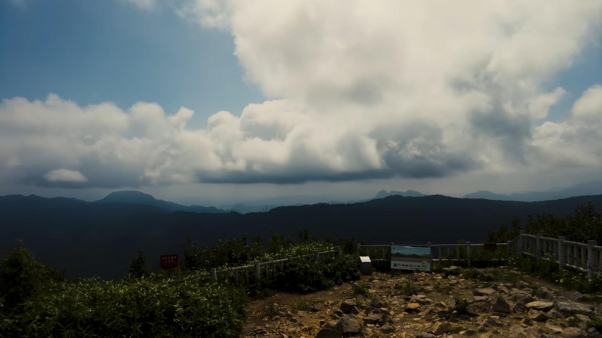 手稲山の森に生息する植物ときのこ